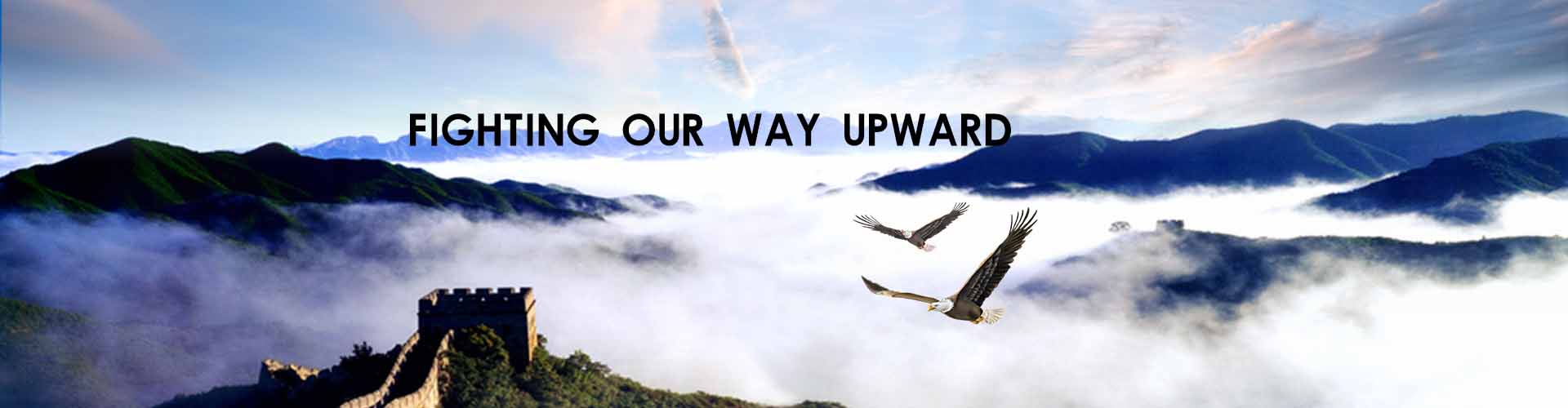 首页 - NG电子官方网站